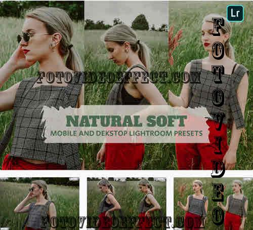 Natural Soft Lightroom Presets Dekstop and Mobile - FHS2SXV