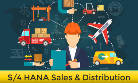 Learn SAP S/4 Sales & Distribution, Scenario by Scenario