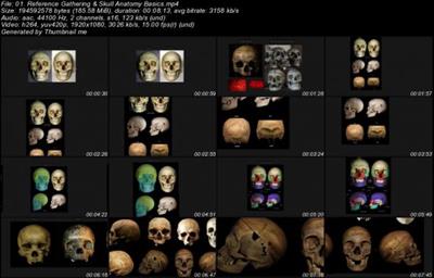 Sculpting the Human  Skull Befe5c1ac7fcb69075259c97a2771871