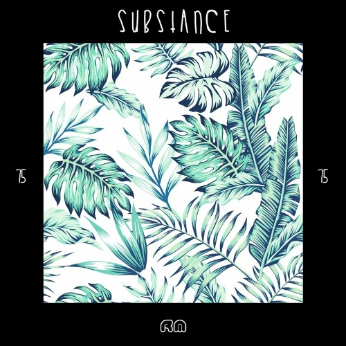 VA - Substance Vol. 75 (2022) (MP3)