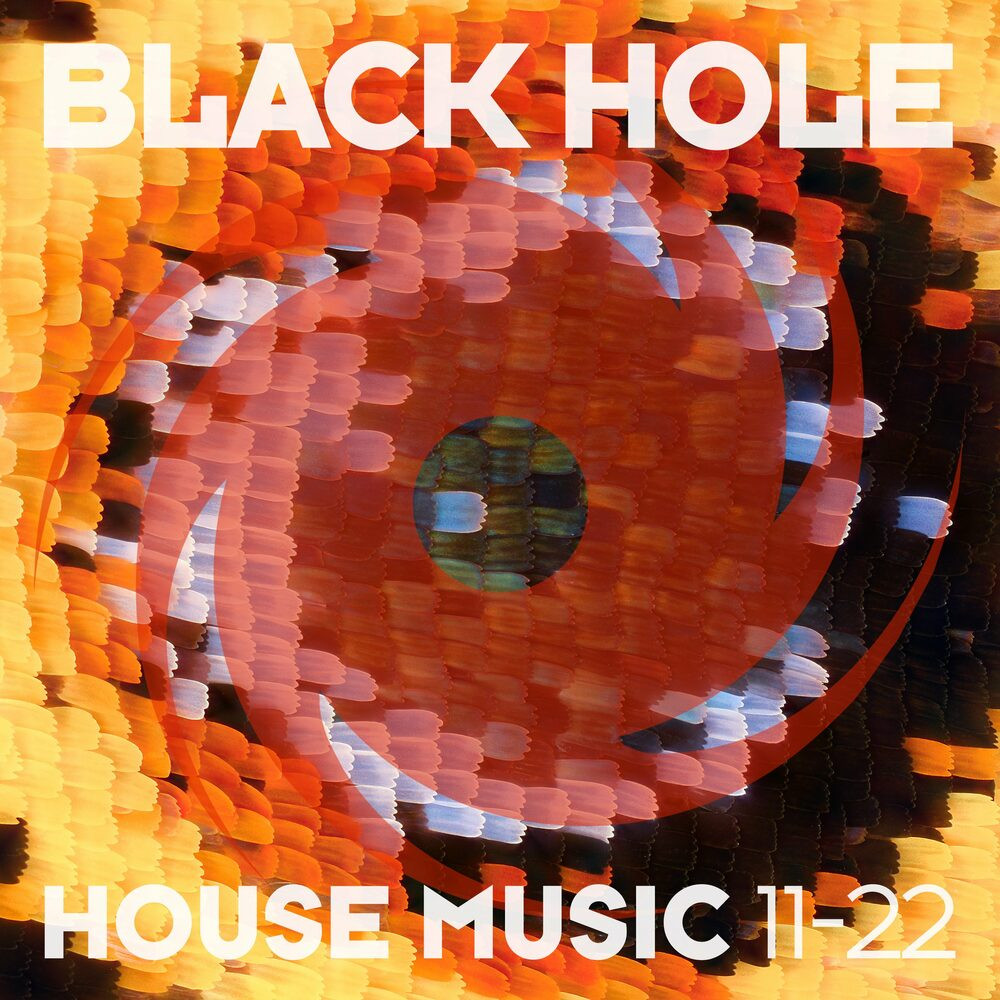 Black Hole House Music 11-22