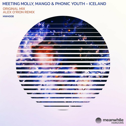 VA - Meeting Molly with Mango & Phonic Youth - Iceland (2022) (MP3)