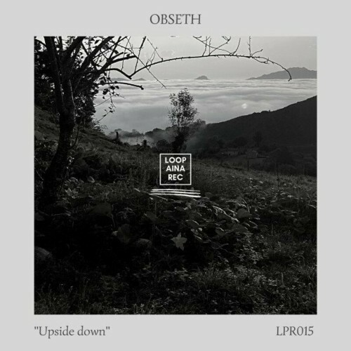 VA - Obseth - Upside Down (2022) (MP3)