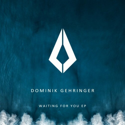 VA - Dominik Gehringer - Waiting for You (2022) (MP3)