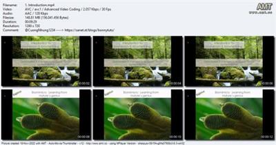 Biomimicry As A Way Of  Being D02685711cfd5e8275fd7af1849e8ebe