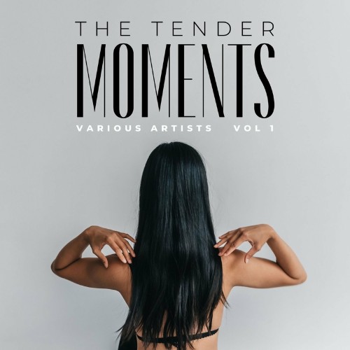 VA - The Tender Moments, Vol. 1 (2022) (MP3)