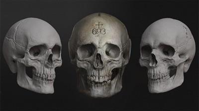 Sculpting the Human  Skull 4427d2734c616c982f457390999312cf