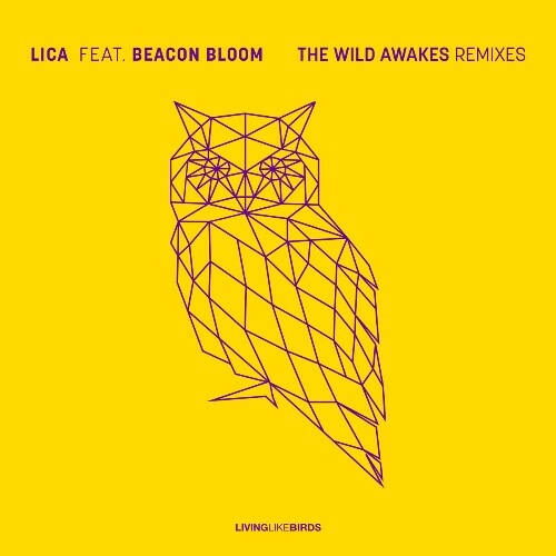 VA - LICA ft Beacon Bloom - The Wild Awakes (Remixes) (2022) (MP3)