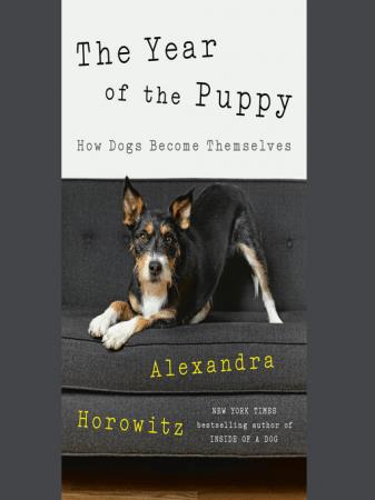 The Year of the Puppy How Dogs Become Themselves (Audiobook)