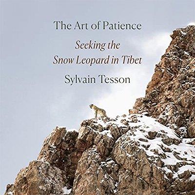 The Art of Patience Seeking the Snow Leopard in Tibet (Audiobook)