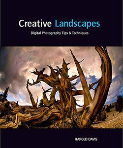 Creative Landscapes Digital Photography Tips & Techniques
