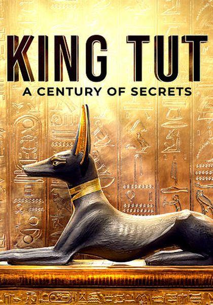 Тутанхамон: столетие тайн / King Tut: A Century of Secrets (2022) WEBRip 1080p