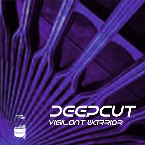 VA - Deepcut - Vigilant Warrior (2022) (MP3)