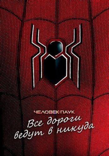 Человек-паук: Все дороги ведут в никуда / Spider-Man: All Roads Lead to No Way Home (2022) WEB-DL 1080p