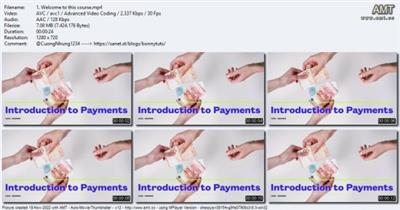 Introduction to Payments  (2022)