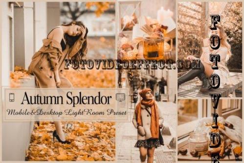 12 Autumn Splendor Mobile & Desktop Lightroom Presets - 2225978