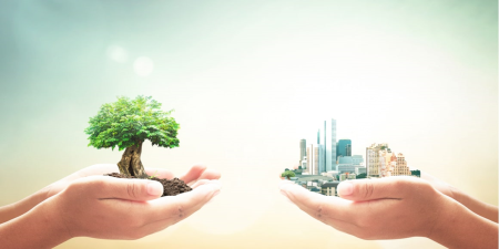 How Tech Drives Sustainability