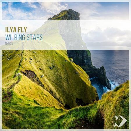 VA | Ilya Fly - Wilring Stars (2022) MP3