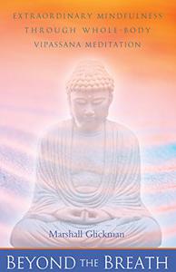 Beyond the Breath Extrordinary Mindfulness through Whole Body Vipassana Yoga Meditation