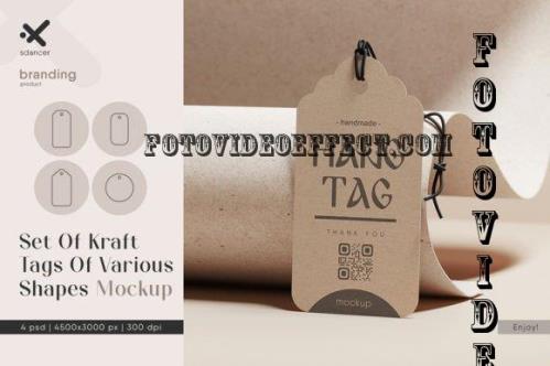 Set Of Kraft Tags Of Various Shapes Mockup - 2233837