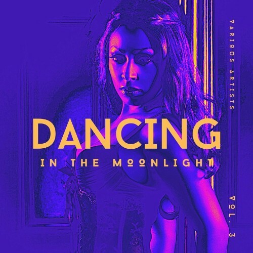 VA - Dancing In The Moonlight, Vol. 3 (2022) (MP3)