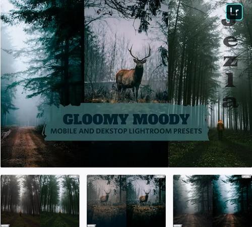 Gloomy Moody Lightroom Presets Dekstop and Mobile