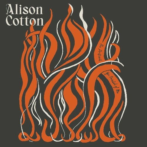 VA - Alison Cotton - The Portrait You Painted of Me (2022) (MP3)