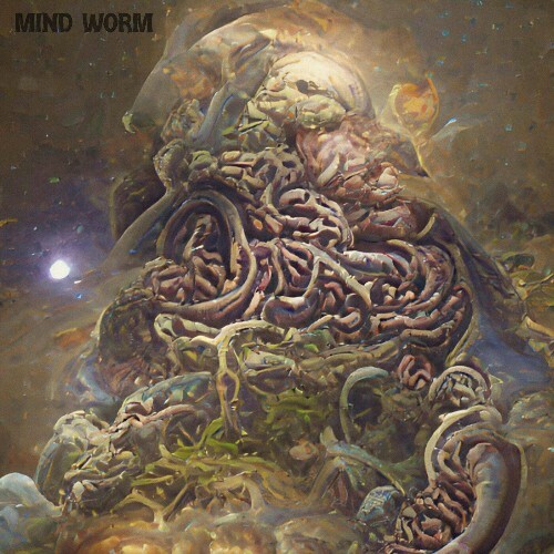 VA - Mellow Beast - Mind Worm (2022) (MP3)