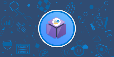 VMS Development for Functional Consultants