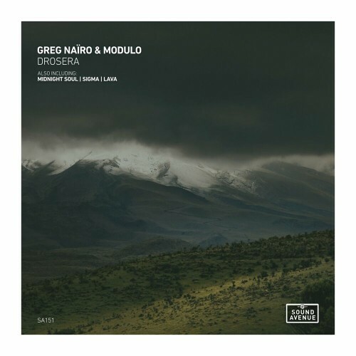 VA - Greg Nairo & Modulo - Drosera (2022) (MP3)