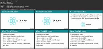 The Ultimate Reactjs Developer  Course 9502aa6e54130c0032171fb6816ae2e1