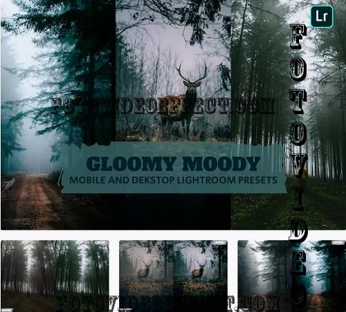 Gloomy Moody Lightroom Presets Dekstop and Mobile