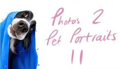 Creating Pet Illustrations From  Photographs 8c814e882ace23a95314f8aa0ef75804
