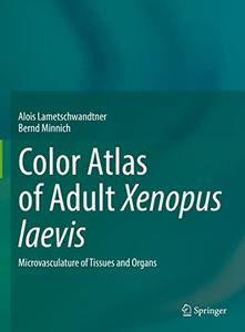 Color Atlas of Adult Xenopus laevis Microvasculature of Tissues and Organs