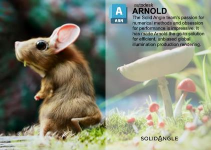 Solid Angle 3ds Max to Arnold 5.5.0.7 (x64)