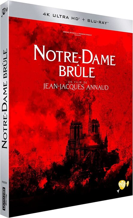 Notre Dame płonie / Notre-Dame brule / Notre-Dame on Fire (2022) MULTi.REMUX.2160p.UHD.Blu-ray.DV.HDR.HEVC.ATMOS7.1-DENDA ~ Lektor i Napisy PL