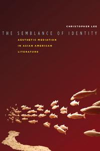 The Semblance of Identity Aesthetic Mediation in Asian American Literature