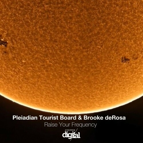VA - Pleiadian Tourist Board & Brooke deRosa - Raise Your Frequency (2022) (MP3)