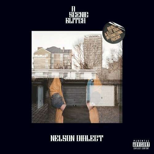 VA - Nelson Dialect & Bigbob - A Scenic Glitch (2022) (MP3)