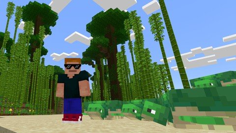 Beginners Boot Camp For Minecraft