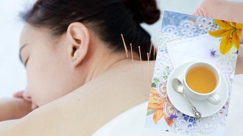 Weight Loss Therapy In Acupuncture, Tcm Herbs, Lose Weight