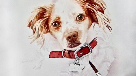 Realistic Beginning Watercolors Painting A Dog