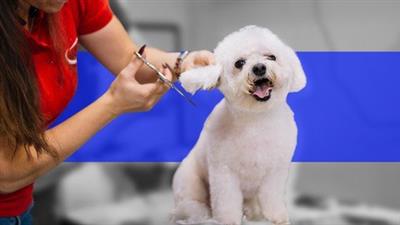 How To Start A Successful Dog Grooming  Business 4c80e772d8177419d9856a67f535fe43