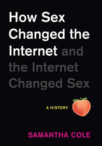 How Sex Changed the Internet and the Internet Changed Sex An Unexpected History