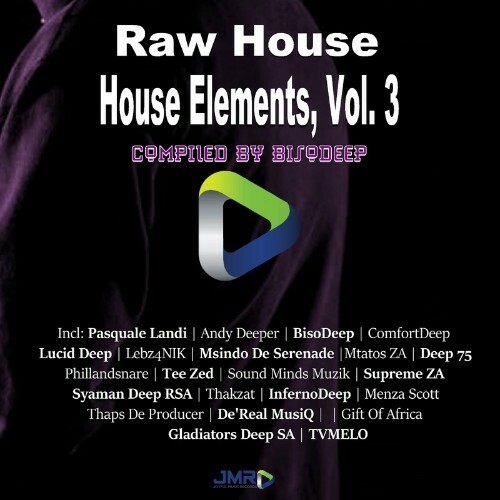 Raw House Elements, Vol. 3 (2022)