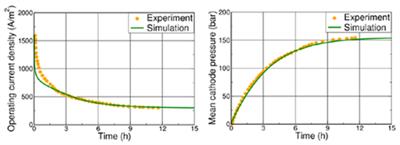 AVL Simulation Suite 2022 Build 248 Win x64