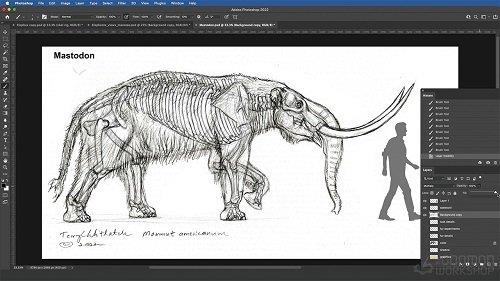 Elephant Anatomy Vol. 2 Prehistoric Studies & Imaginary Concepts