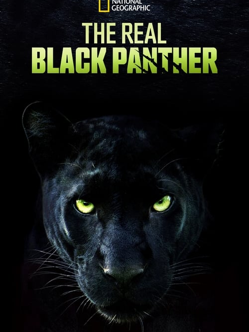 The Real Black Panther 2020 1080p WEB h264-KOGi