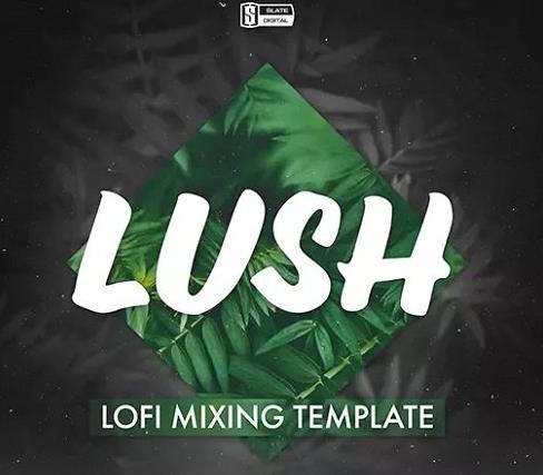 Slate Academy - Lush Lofi Mix Template