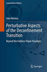 Perturbative Aspects of the Deconfinement Transition Beyond the Faddeev-Popov Paradigm